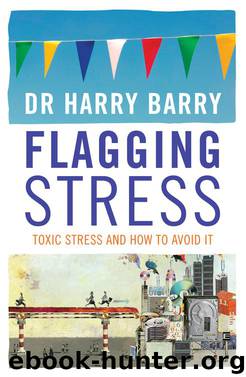 Flagging Stress by Barry Harry