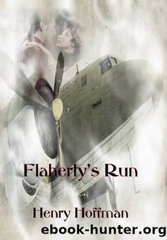 Flaherty's Run by Henry Hoffman