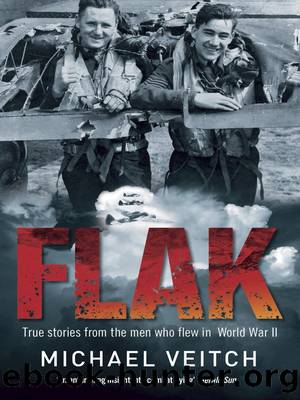 Flak by Unknown