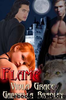Flame by Viola Grace