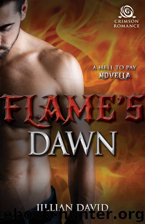 Flame's Dawn by Jillian David