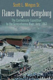 Flames Beyond Gettysburg by Scott L. Mingus