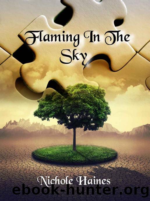 Flaming In The Sky by Nichole Haines