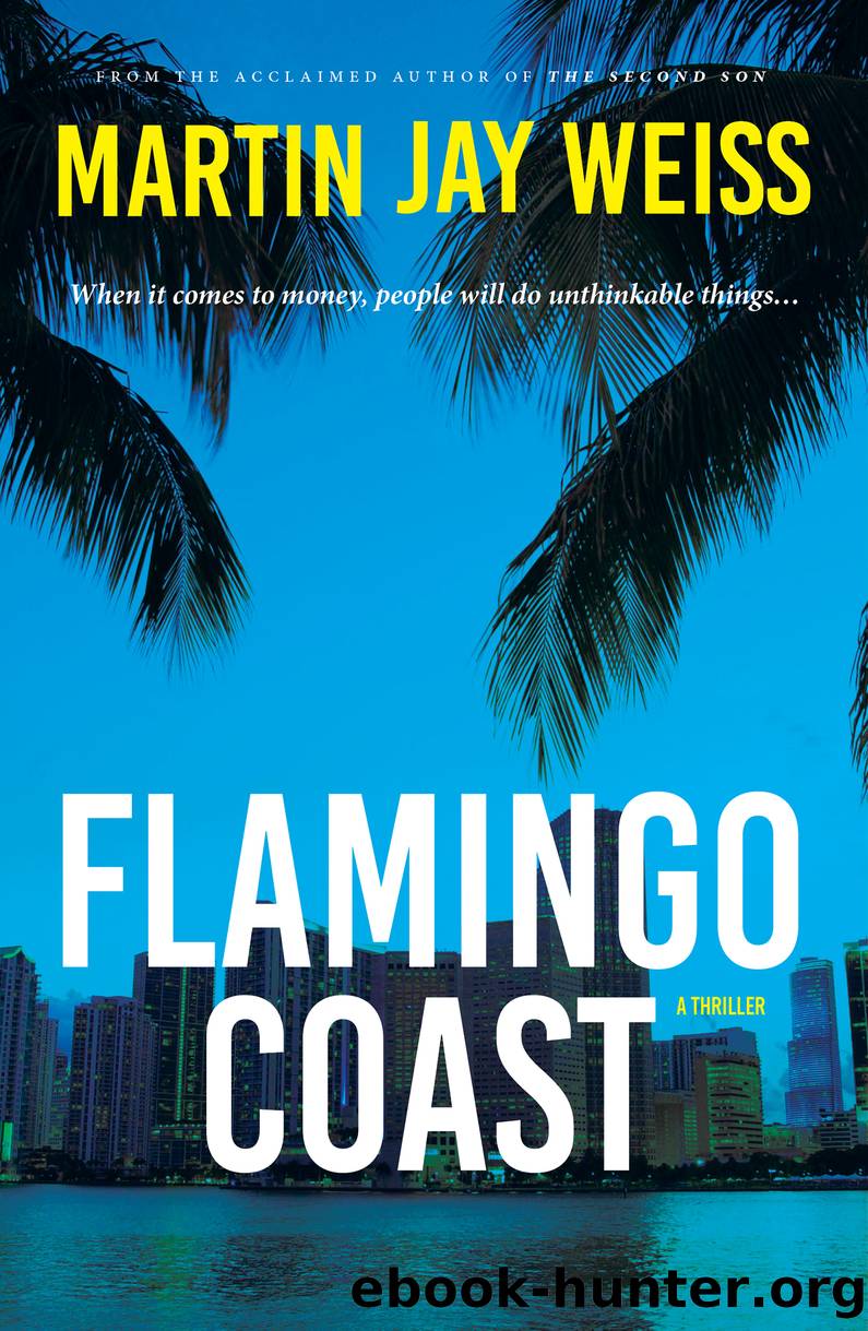 Flamingo Coast by Martin Jay Weiss