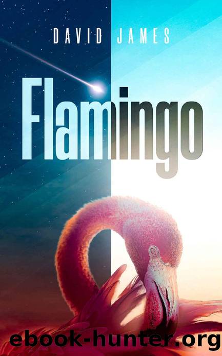 Flamingo by David James