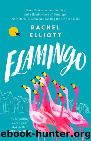 Flamingo by Rachel Elliott