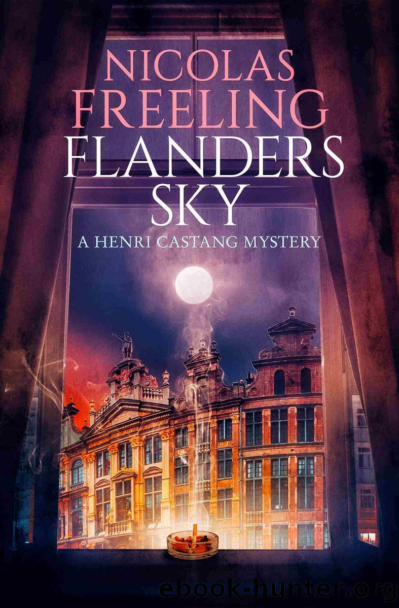 Flanders Sky by Nicolas Freeling