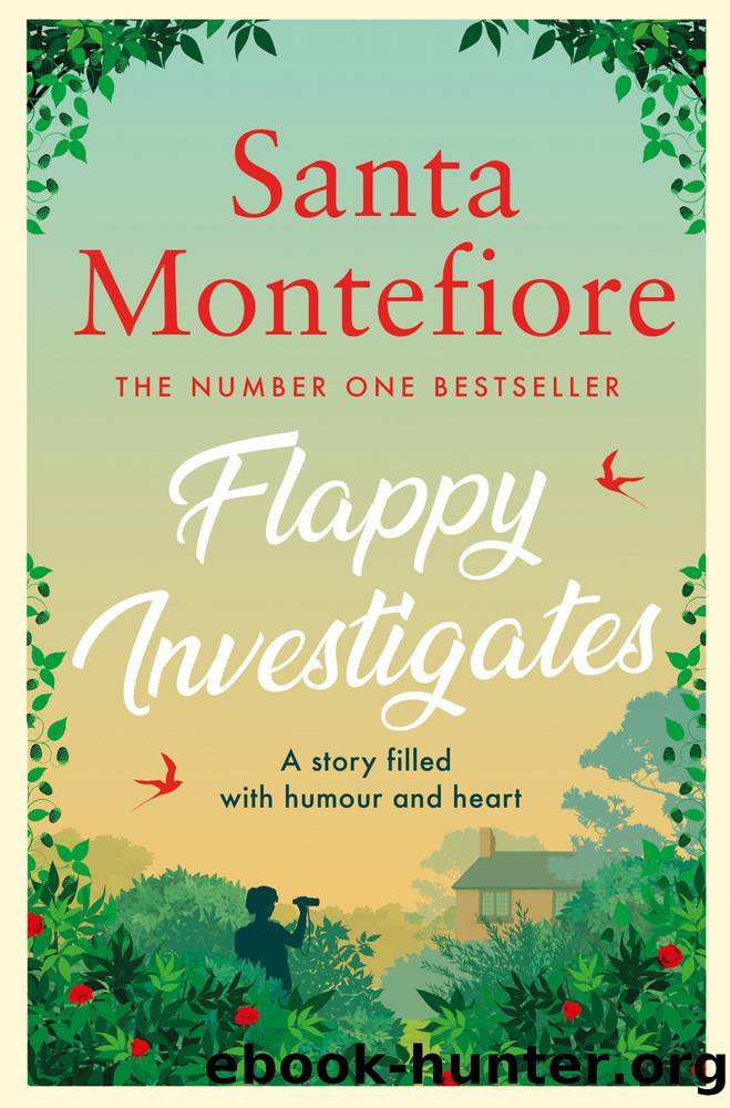 Flappy Investigates by Santa Montefiore