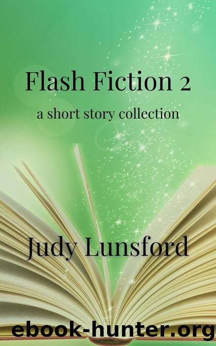 Flash Fiction 2 by Judy Lunsford