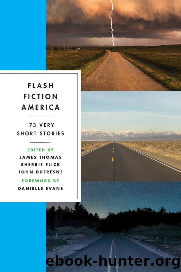 Flash Fiction America by Flash Fiction America (retail) (epub)