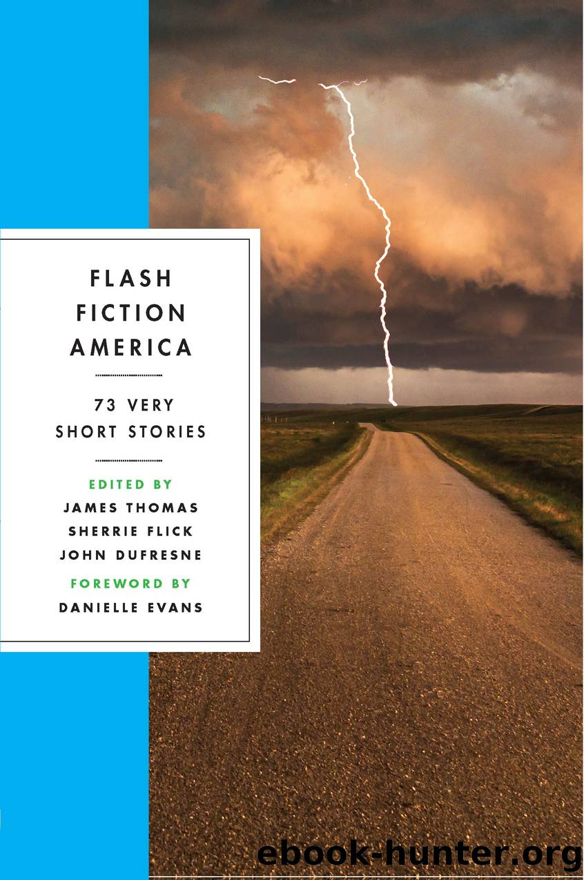 Flash Fiction America by Unknown