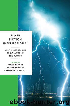 Flash Fiction International by James Thomas Robert Shapard & Christopher Merrill