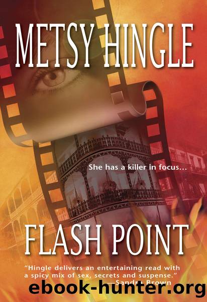 Flash Point by Metsy Hingle