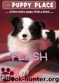 Flash by Ellen Miles