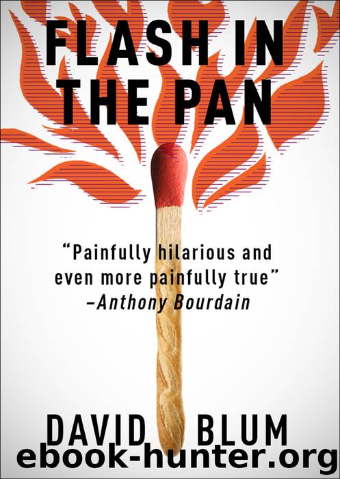 Flash in the Pan by David Blum