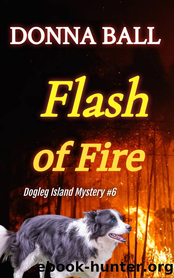 Flash of Fire by Donna Ball