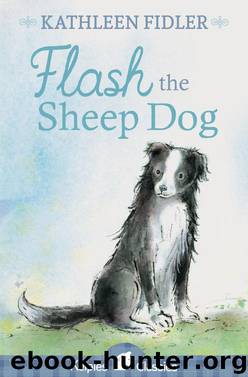 Flash the Sheep Dog by Kathleen Fidler