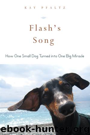Flash's Song by Kay Pfaltz