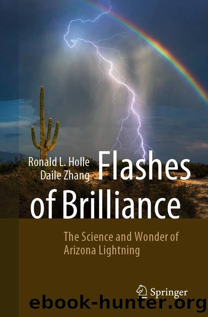 Flashes of Brilliance by Ronald L. Holle & Daile Zhang