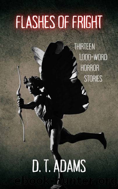 Flashes of Fright: Thirteen 1,000-Word Horror Stories (1,000-Word Stories) by D. T. Adams
