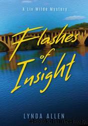 Flashes of Insight by Lynda Allen