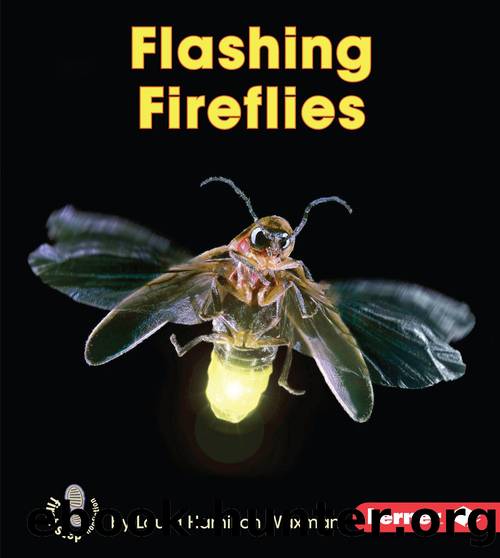 Flashing Fireflies by Laura Hamilton Waxman