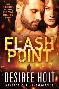 Flashpoint by Desiree Holt