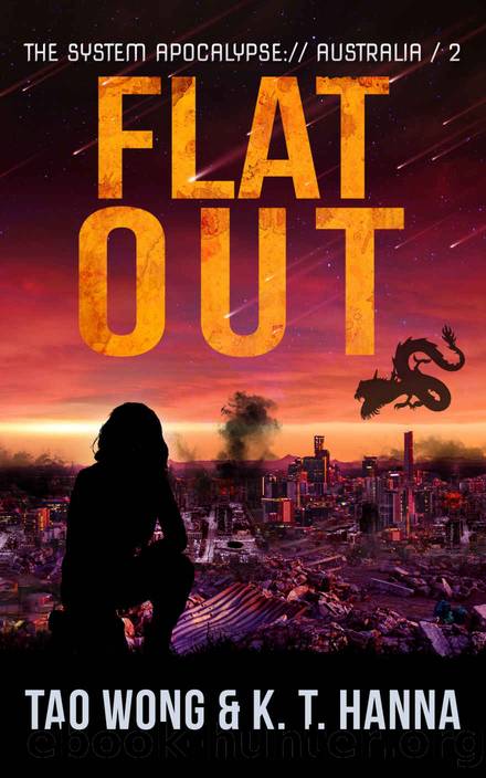 Flat Out by Wong Tao & Hanna K. T