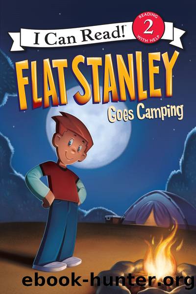 Flat Stanley Goes Camping by Jeff Brown