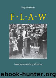 Flaw by Magdalena Tulli