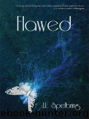 Flawed (Perfection) by J.L. Spelbring