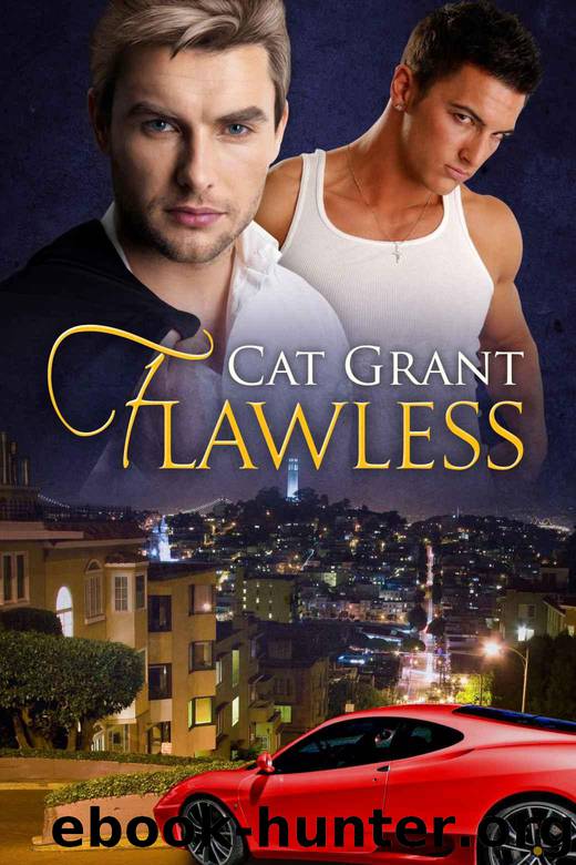 Flawless (Irresistible Attraction) by Grant Cat