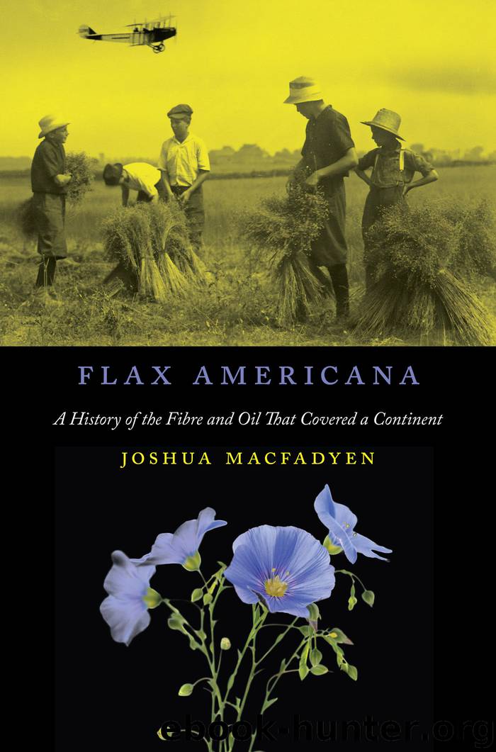 Flax Americana by Joshua MacFadyen
