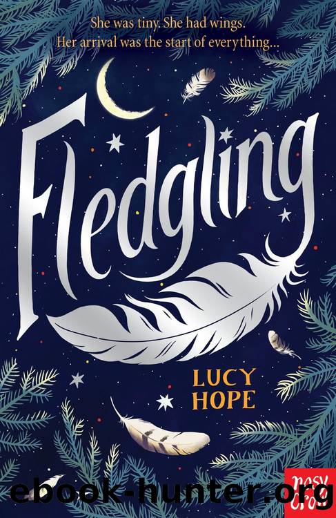 Fledgling by Lucy Hope