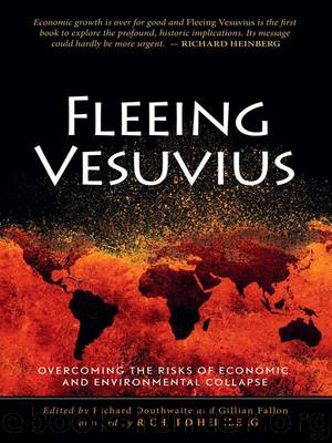 Fleeing Vesuvius: Overcoming the Risks of Economic and Environmental Collapse by Fallon Gillian & Douthwaite Richard