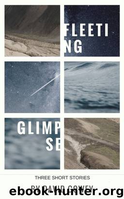 Fleeting Glimpse by David Gowey
