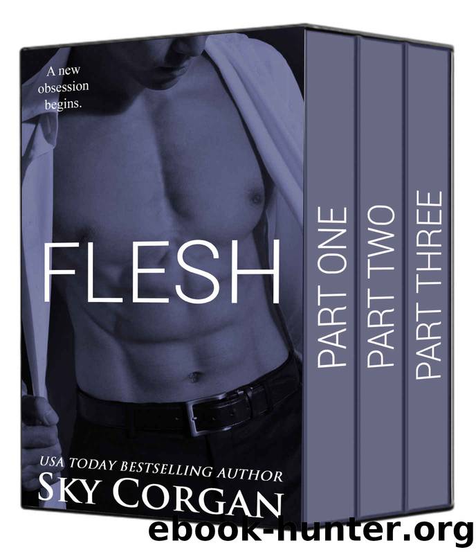 Flesh 1-3 by Sky Corgan