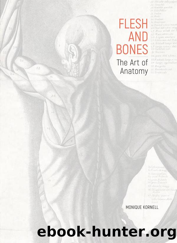 Flesh and Bones: The Art of Anatomy by Monique Kornell