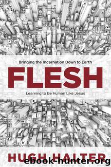 Flesh: Bringing the Incarnation Down to Earth by Hugh Halter