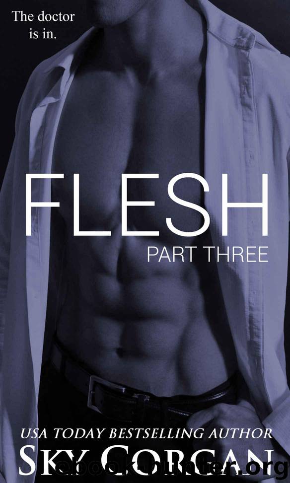 Flesh: Part Three (The Flesh Series Book 3) by Corgan Sky