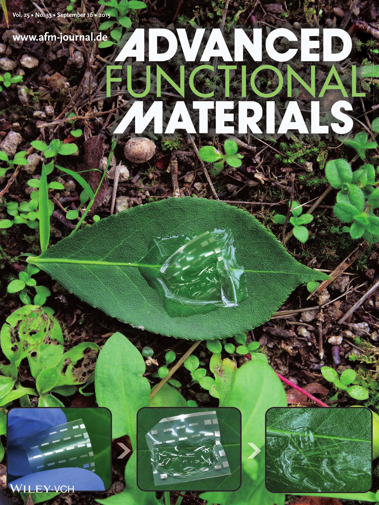 Flexible Electronics: Biocompatible and Flexible Chitosan&#x02010;Based Resistive Switching Memory with Magnesium Electrodes (Adv. Funct. Mater. 35&#x0002F;2015) by Unknown