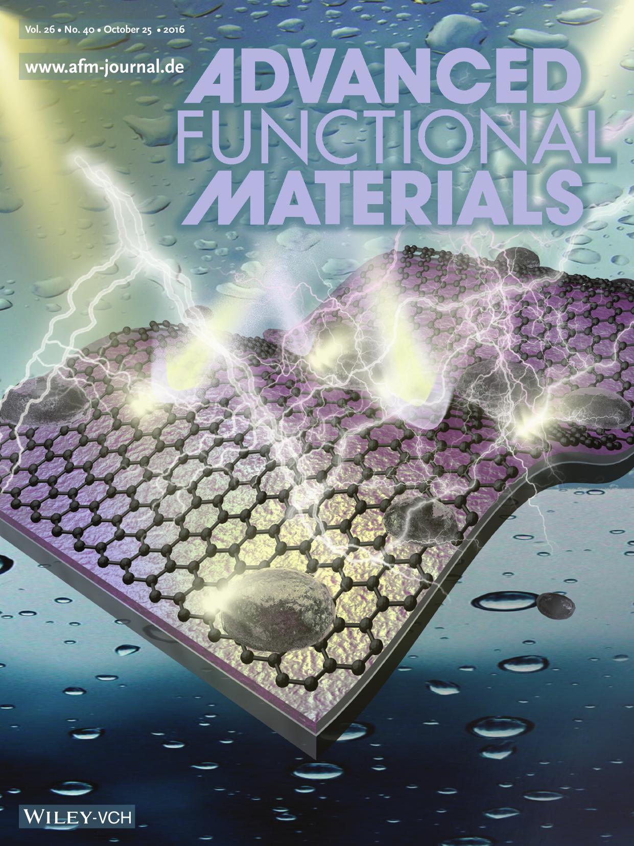 Flexible Transparent Electrodes: Highly Conductive and Environmentally Stable Organic Transparent Electrodes Laminated with Graphene (Adv. Funct. Mater. 40&#x0002F;2016) by Unknown