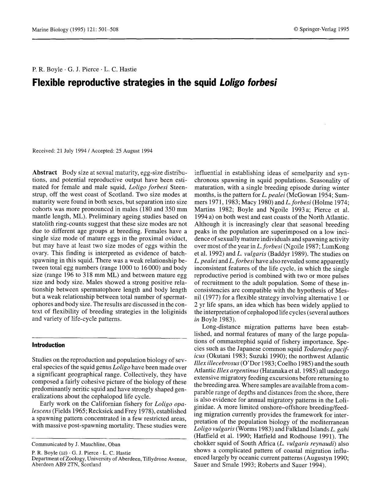 Flexible reproductive strategies in the squid <Emphasis Type="Italic">Loligo forbesi<Emphasis> by Unknown