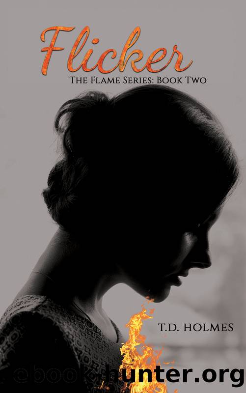 Flicker by T.D. Holmes