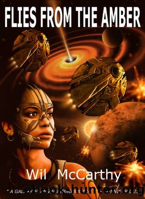 Flies from the Amber by Wil McCarthy