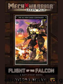 Flight Of The Falcon by Milan Victor