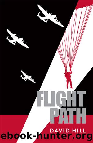 Flight Path by David Hill