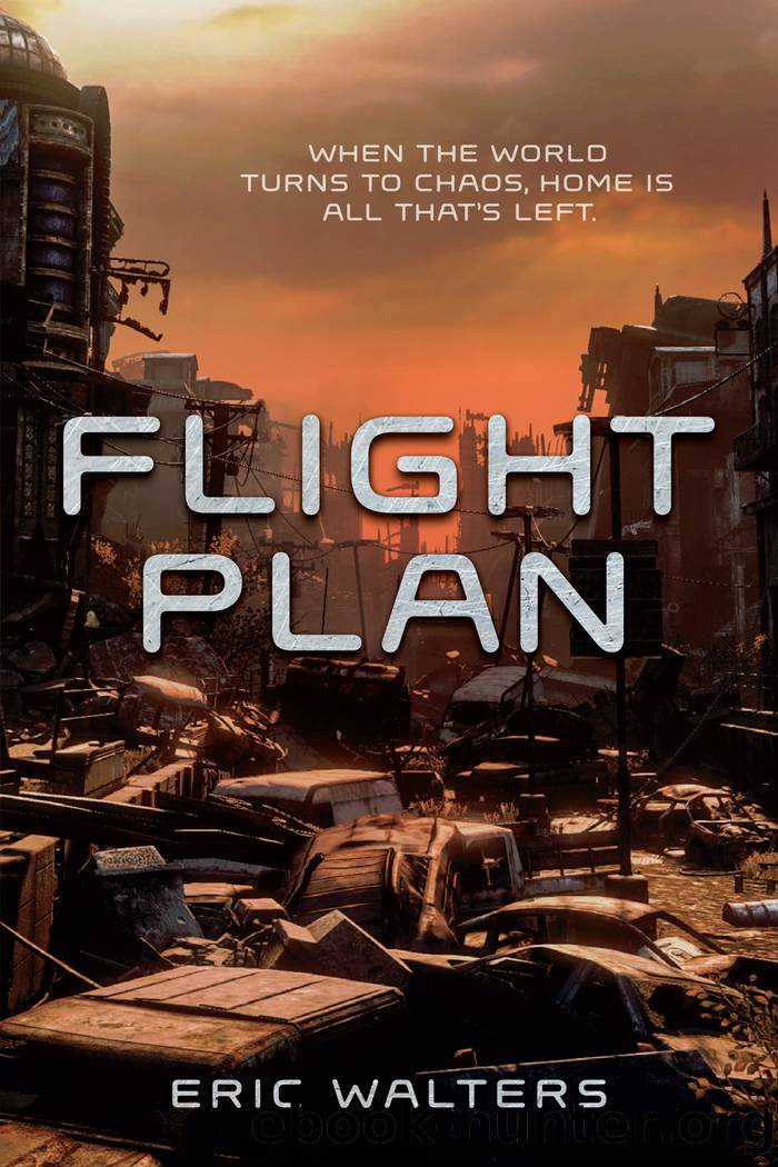 Flight Plan by Eric Walters