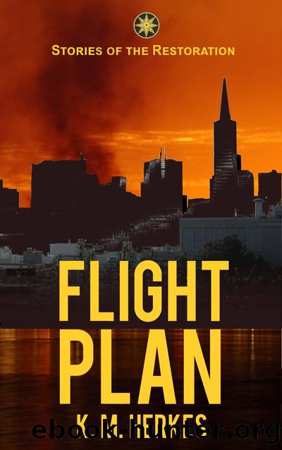 Flight Plan by K. M. Herkes