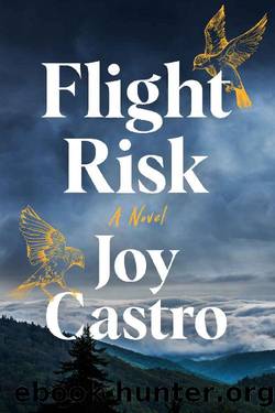 Flight Risk by Joy Castro